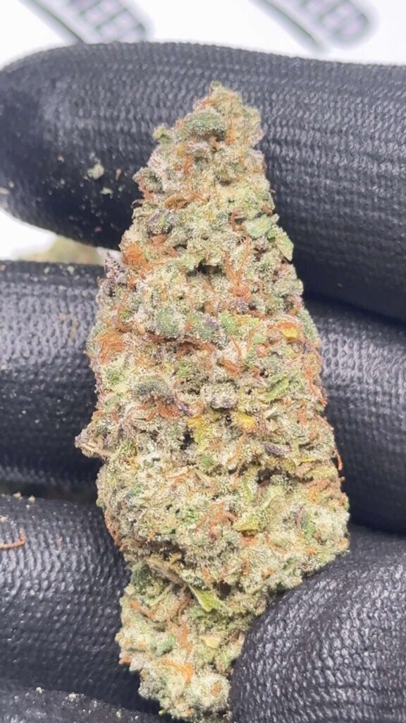 Fleur de CBD GoatZilla par WeNeed, têtes denses et résineuses