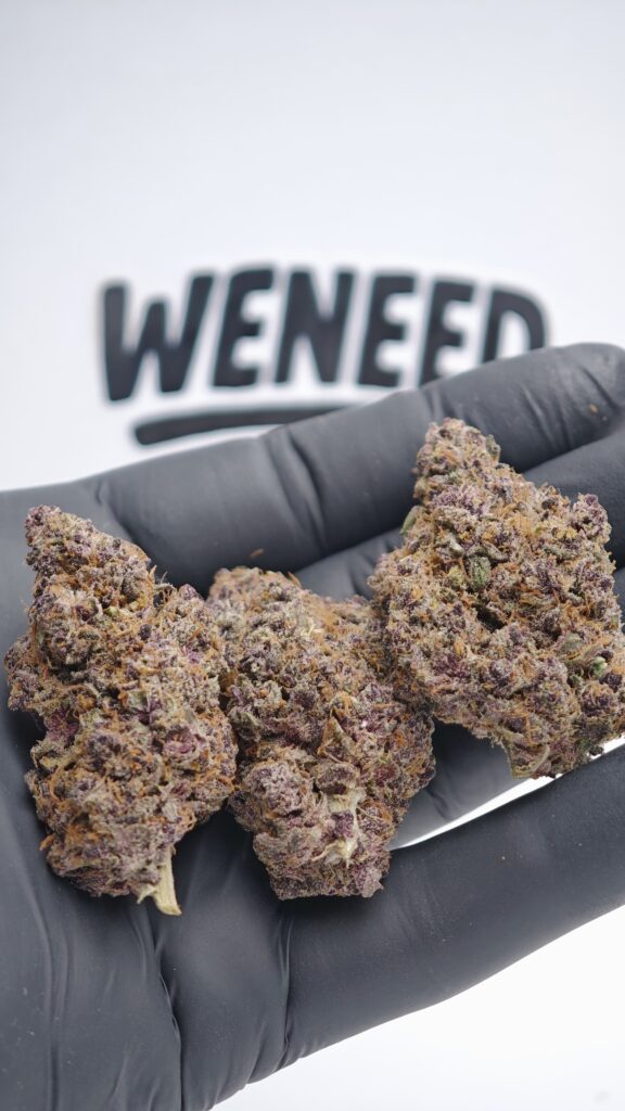 Fleur de CBD Tarmac par WeNeed, têtes denses et violettes